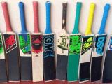 cricket bat