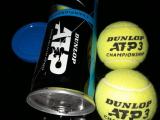 Cricket ball