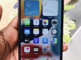 Apple iPhone 7 Plus  (Used)