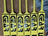 cricket bat