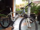 Bicycle for sale