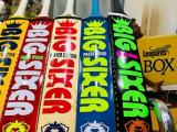 cricket bat