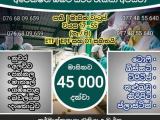 JOB VACANCIES