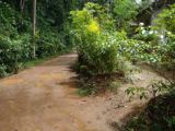 Land for sale from Rathnapura