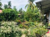 House For Sale from Negombo.