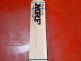cricket bat