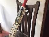 cricket bat