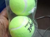 cricket ball