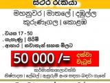 JOB VACANCIES From Kurunegala