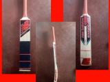 cricket bat