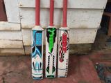 cricket bat