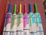 cricket bat