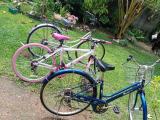 Bicycle for sale