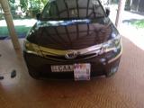 Toyota Axio 2014 (Used)