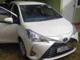 Toyota Vitz 2017 (Used)