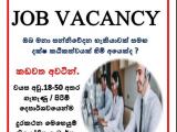 JOB VACANCIES From   Kadawatha
