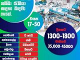JOB VACANCIES From  Kurunegala