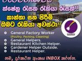 JOB VACANCIES From  ROMANIA