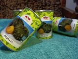 pumpkin seeds