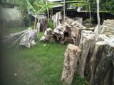 Ruk Kala Creations for sale