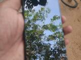 Vivo Other model  (Used)
