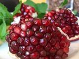 red pomegranate plant