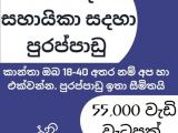 JOB VACANCIES From Piliyandala