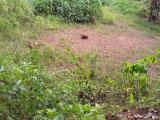 Land for sale near Katunayaka(Udugampola)