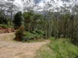 Land with bungalow for sale  Nuwara Eliya