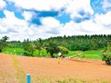 Land for sale Kesbawa - Kahathuduwa