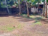 Land for sale Kelaniya