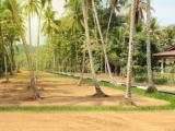 Land for sale Habarakada