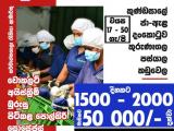 JOB VACANCIES From  Kaduwela