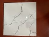 2/2 floor Tile