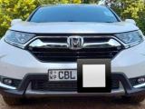 Honda CRV 2019 (Used)
