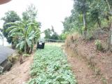 LAND FOR SALE IN WALAPANE