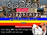 Job Vacancy