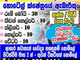 Job Vacancy