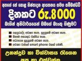 Job Vacancy
