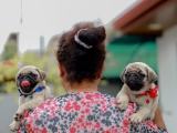these little dolls