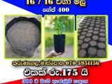 වගා මාධ්‍ය පුරවන ලද වගා මලු.