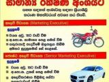 Job Vacancy