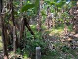 Land for sale Gampaha