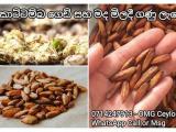 කොට්ටම්බා අත්පිට මුදලට මිලදී ගැනීම්