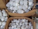Led bulb