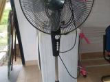 fan  Head Rotation