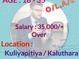 JOB VACANCIES From  Kuliyapitiya