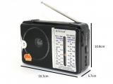 FM Radio (KNSTAR RX - 606 AC Radio)