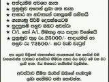 JOB VACANCIES From   Peradeniya