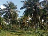 Residential land for sale
